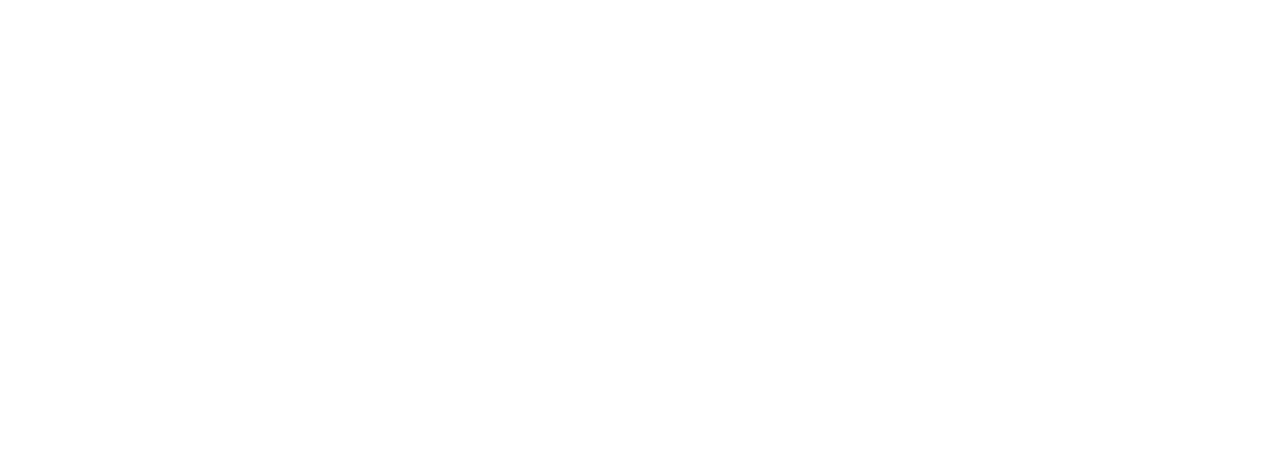 TMS Bus Services Logo